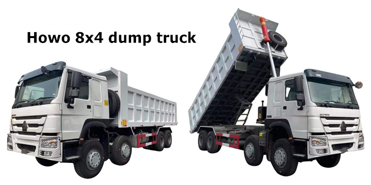 Sinotruk Howo 8x4 12w Dump Truck for Sale Near Me in Guyana Bartica
